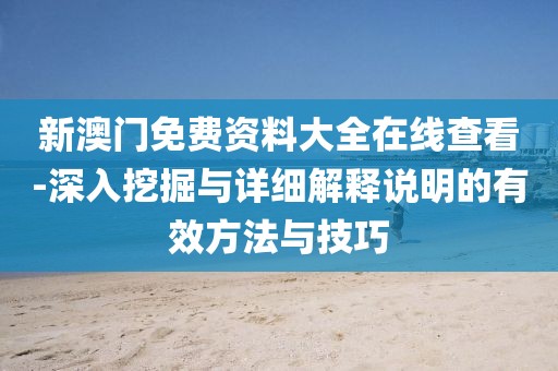 新澳门免费资料大全在线查看-深入挖掘与详细解释说明的有效方法与技巧