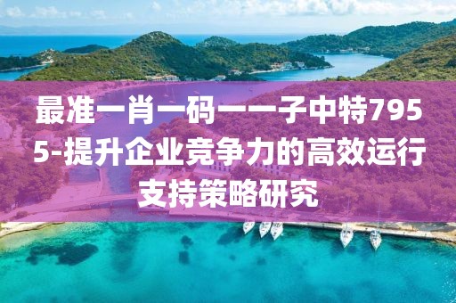 最准一肖一码一一子中特7955-提升企业竞争力的高效运行支持策略研究
