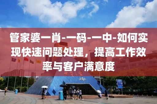 管家婆一肖-一码-一中-如何实现快速问题处理，提高工作效率与客户满意度
