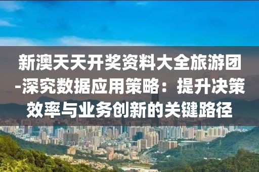 新澳天天开奖资料大全旅游团-深究数据应用策略：提升决策效率与业务创新的关键路径