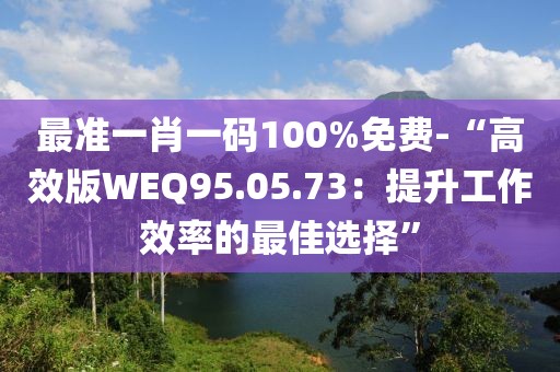最准一肖一码100%免费-“高效版WEQ95.05.73：提升工作效率的最佳选择”