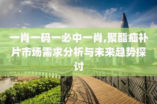 一肖一码一必中一肖,聚酯疝补片市场需求分析与未来趋势探讨