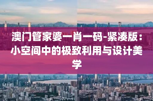澳门管家婆一肖一码-紧凑版：小空间中的极致利用与设计美学