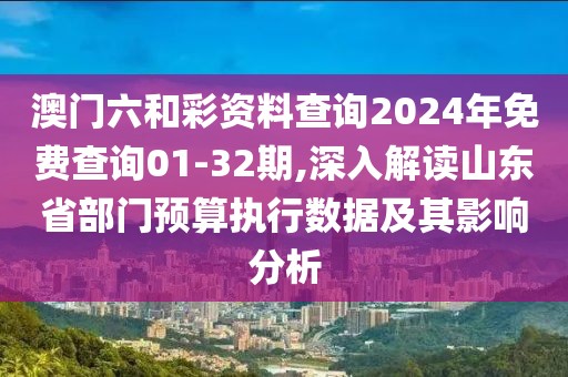 澳门六和彩资料查询2024年免费查询01-32期,深入解读山东省部门预算执行数据及其影响分析