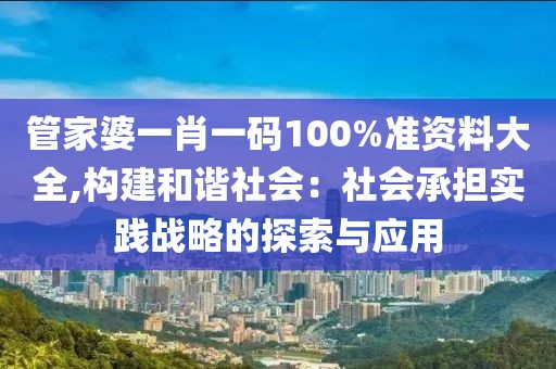 管家婆一肖一码100%准资料大全,构建和谐社会：社会承担实践战略的探索与应用