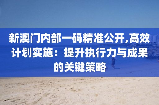 新澳门内部一码精准公开,高效计划实施：提升执行力与成果的关键策略