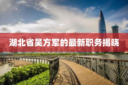 湖北省吴方军的最新职务揭晓