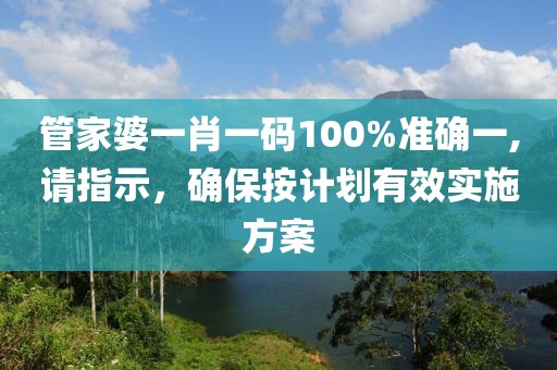 管家婆一肖一码100%准确一,请指示，确保按计划有效实施方案