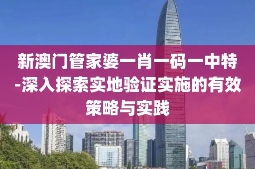 新澳门管家婆一肖一码一中特-深入探索实地验证实施的有效策略与实践
