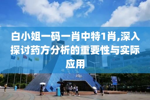 白小姐一码一肖中特1肖,深入探讨药方分析的重要性与实际应用