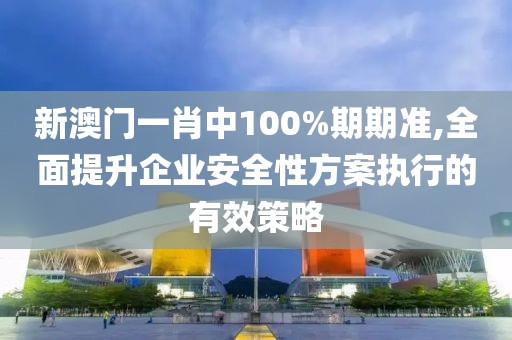 新澳门一肖中100%期期准,全面提升企业安全性方案执行的有效策略