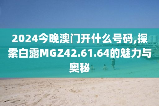2024今晚澳门开什么号码,探索白露MGZ42.61.64的魅力与奥秘