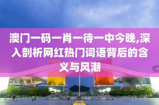 澳门一码一肖一待一中今晚,深入剖析网红热门词语背后的含义与风潮