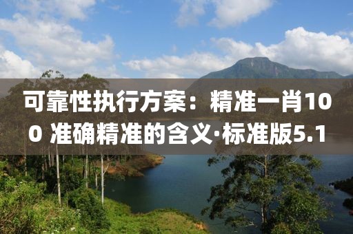 可靠性执行方案：精准一肖100 准确精准的含义·标准版5.1