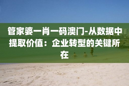 管家婆一肖一码澳门-从数据中提取价值：企业转型的关键所在