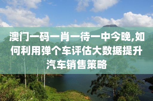 澳门一码一肖一待一中今晚,如何利用弹个车评估大数据提升汽车销售策略