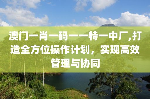澳门一肖一码一一特一中厂,打造全方位操作计划，实现高效管理与协同