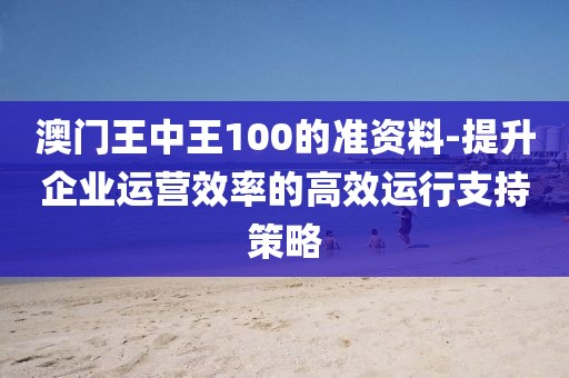 澳门王中王100的准资料-提升企业运营效率的高效运行支持策略