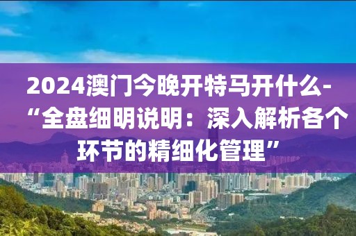 2024澳门今晚开特马开什么-“全盘细明说明：深入解析各个环节的精细化管理”