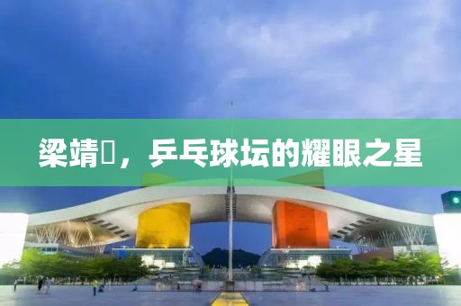 梁靖崑，乒乓球坛的耀眼之星