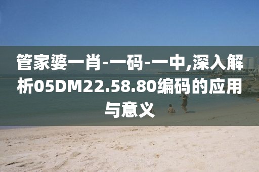 管家婆一肖-一码-一中,深入解析05DM22.58.80编码的应用与意义