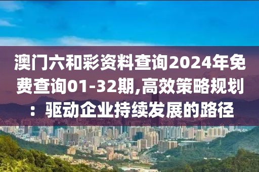 澳门六和彩资料查询2024年免费查询01-32期,高效策略规划：驱动企业持续发展的路径