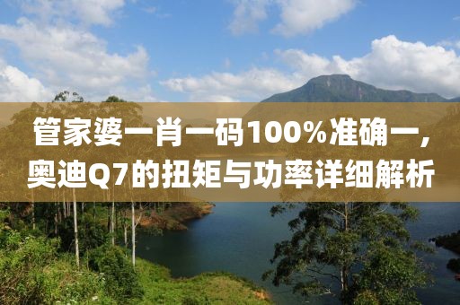 管家婆一肖一码100%准确一,奥迪Q7的扭矩与功率详细解析