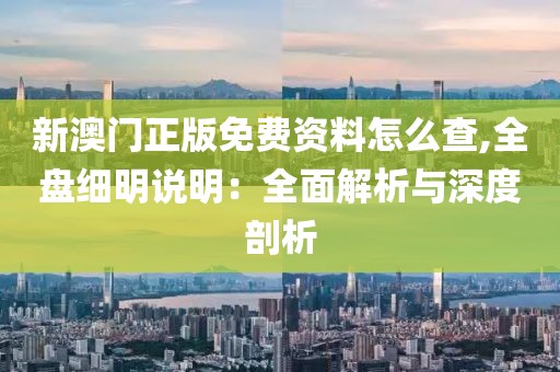 新澳门正版免费资料怎么查,全盘细明说明：全面解析与深度剖析