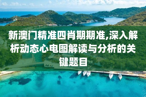 新澳门精准四肖期期准,深入解析动态心电图解读与分析的关键题目