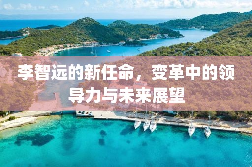 李智远的新任命，变革中的领导力与未来展望