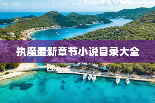 执魔最新章节小说目录大全