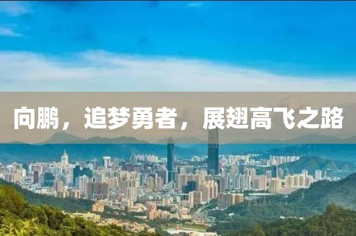 向鹏，追梦勇者，展翅高飞之路