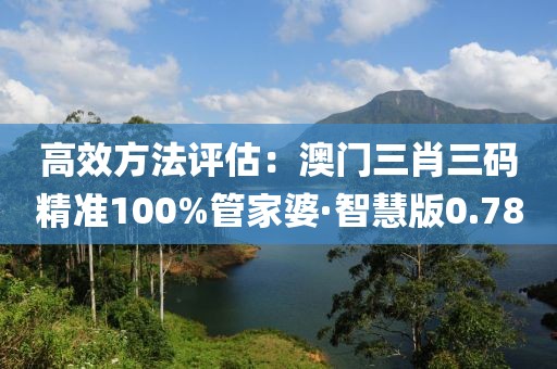 两把枪闯天下 第31页