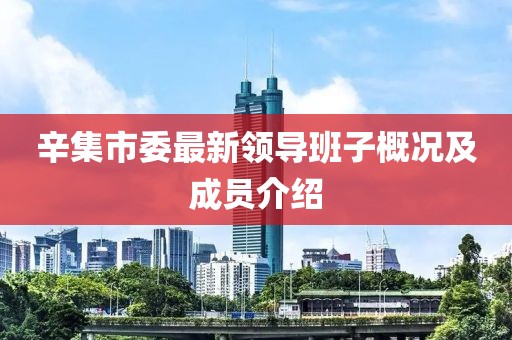 辛集市委最新领导班子概况及成员介绍