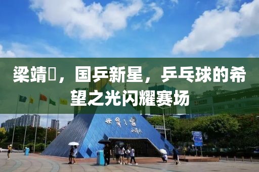 梁靖崑，国乒新星，乒乓球的希望之光闪耀赛场