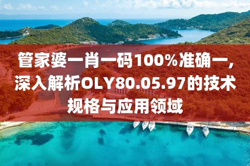 管家婆一肖一码100%准确一,深入解析OLY80.05.97的技术规格与应用领域