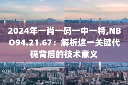 2024年一肖一码一中一特,NBO94.21.67：解析这一关键代码背后的技术意义