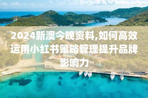 2024新澳今晚资料,如何高效运用小红书策略管理提升品牌影响力