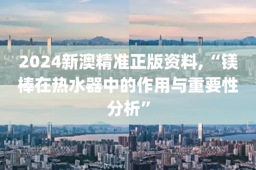 2024新澳精准正版资料,“镁棒在热水器中的作用与重要性分析”