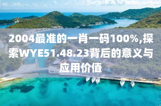 2004最准的一肖一码100%,探索WYE51.48.23背后的意义与应用价值