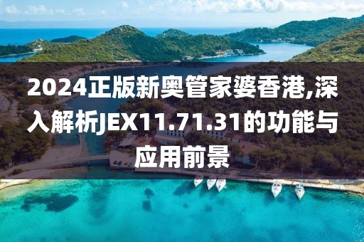 2024正版新奥管家婆香港,深入解析JEX11.71.31的功能与应用前景