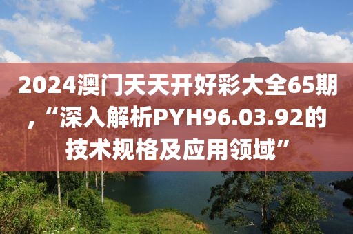 2024澳门天天开好彩大全65期,“深入解析PYH96.03.92的技术规格及应用领域”