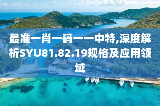 最准一肖一码一一中特,深度解析SYU81.82.19规格及应用领域