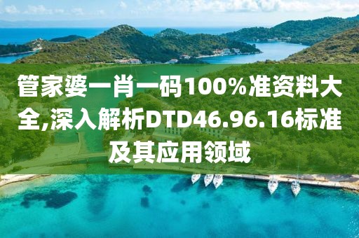 管家婆一肖一码100%准资料大全,深入解析DTD46.96.16标准及其应用领域