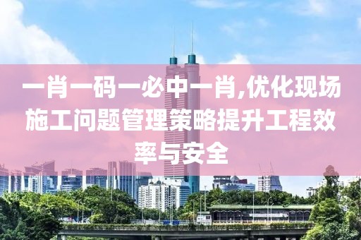 一肖一码一必中一肖,优化现场施工问题管理策略提升工程效率与安全