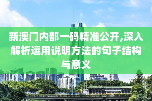 新澳门内部一码精准公开,深入解析运用说明方法的句子结构与意义