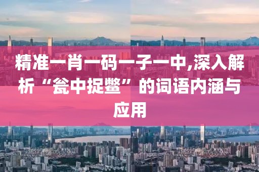 精准一肖一码一子一中,深入解析“瓮中捉鳖”的词语内涵与应用
