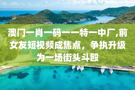 澳门一肖一码一一特一中厂,前女友短视频成焦点，争执升级为一场街头斗殴