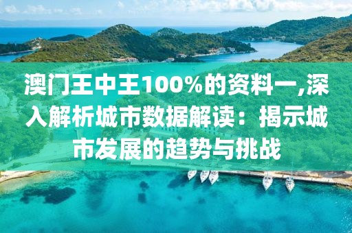 澳门王中王100%的资料一,深入解析城市数据解读：揭示城市发展的趋势与挑战