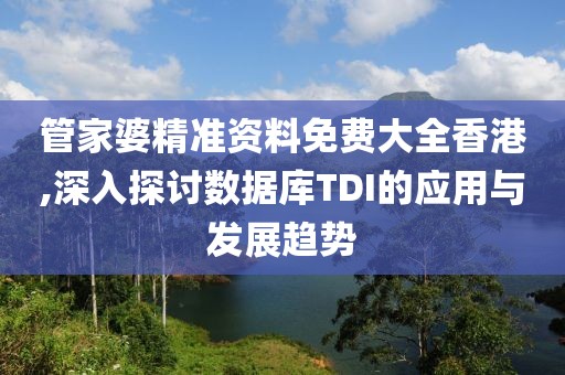 管家婆精准资料免费大全香港,深入探讨数据库TDI的应用与发展趋势